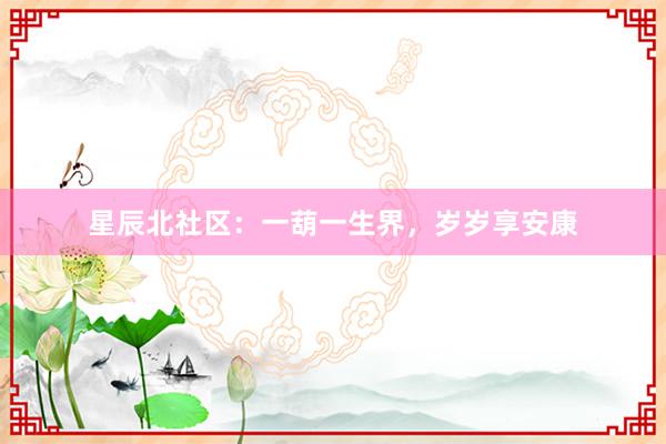 星辰北社区:一葫一生界,岁岁享安康